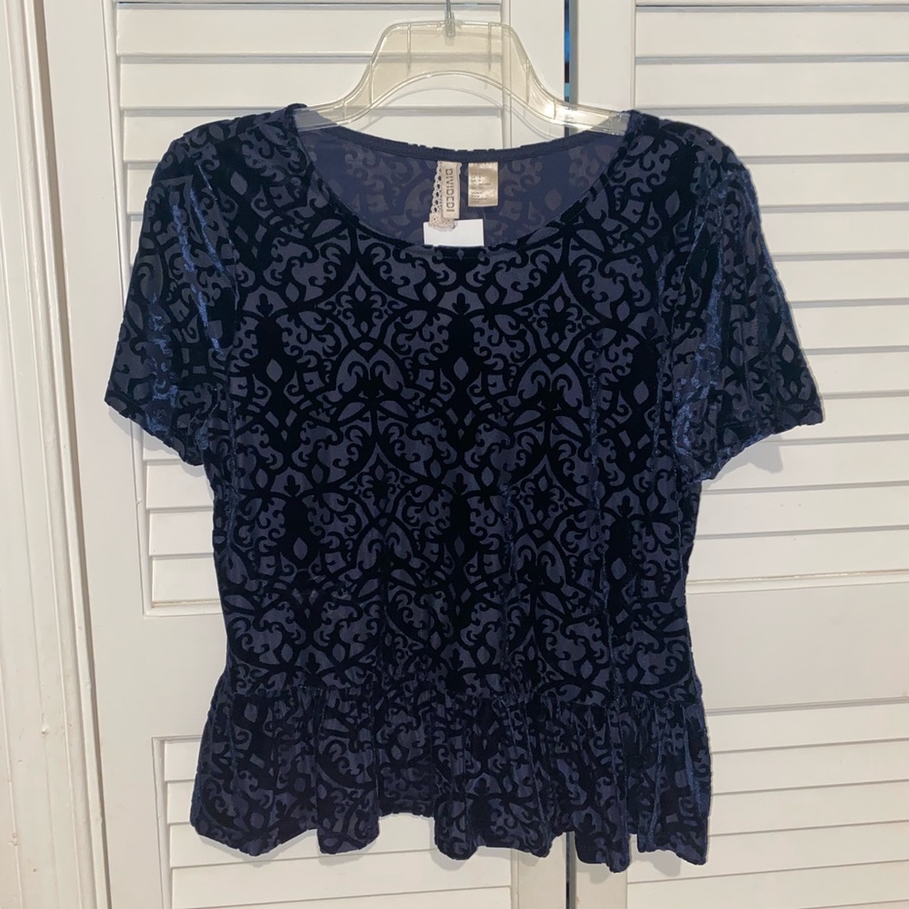 H&M Blue Velvet Top